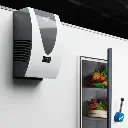 nomacool-govi-mural (02).webp